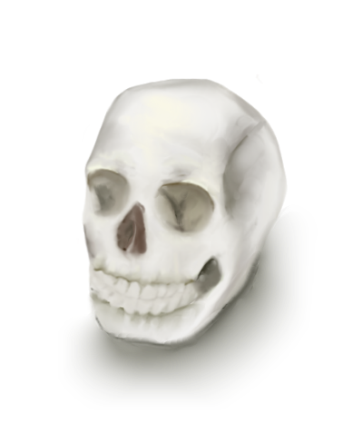 Skull