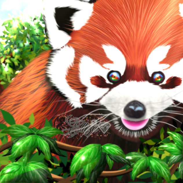 Red Panda SD