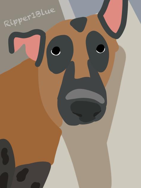 My old girl Cindy.Cinderella