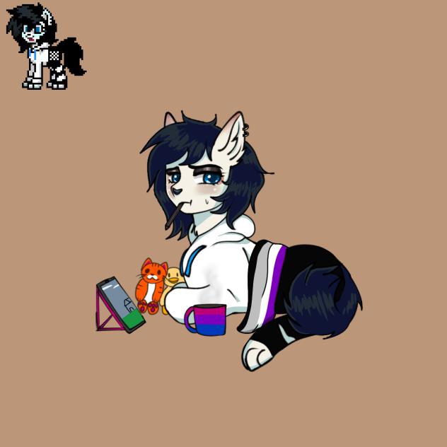 pony town skin