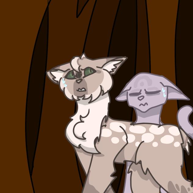 Lynxpaw and Lonepaw