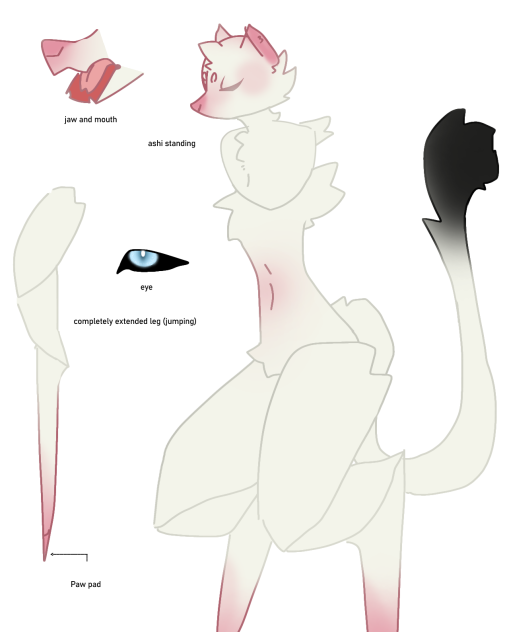 ashi 2.0