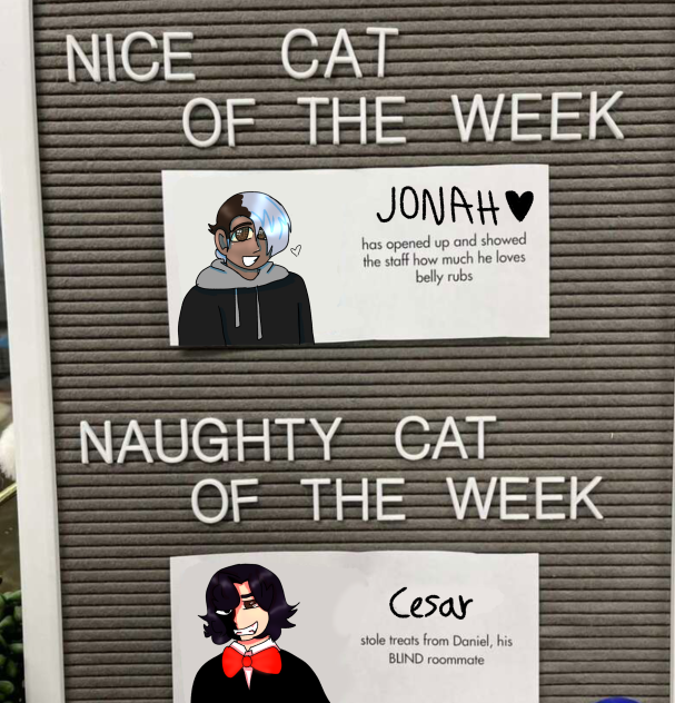 CESAR NO! BAD BOY!! BAD!