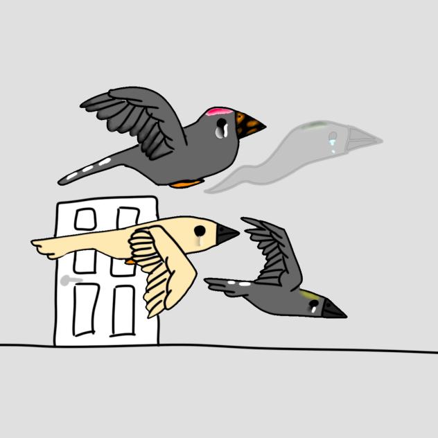 Bird ghost with it's friends