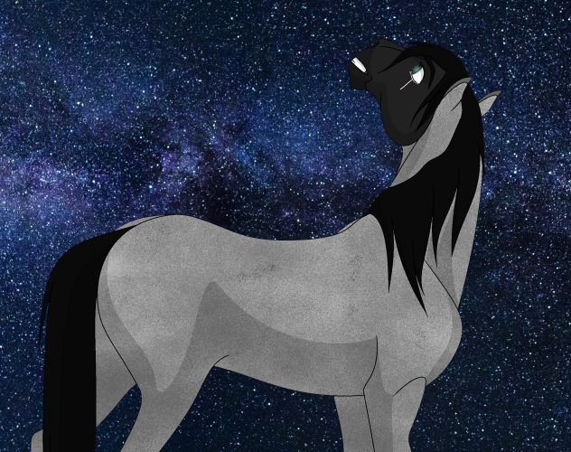 Levi - Starry Night