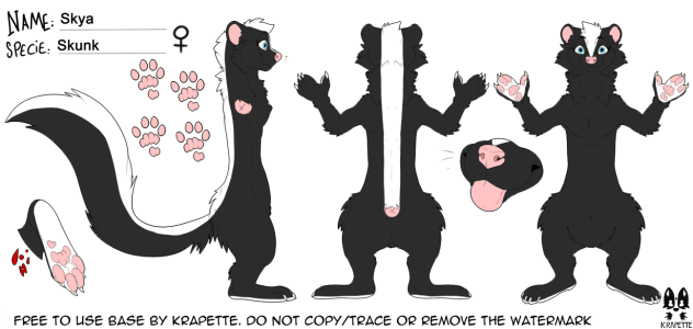 Skya the Skunk