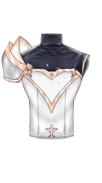 Special combat suit_the back part