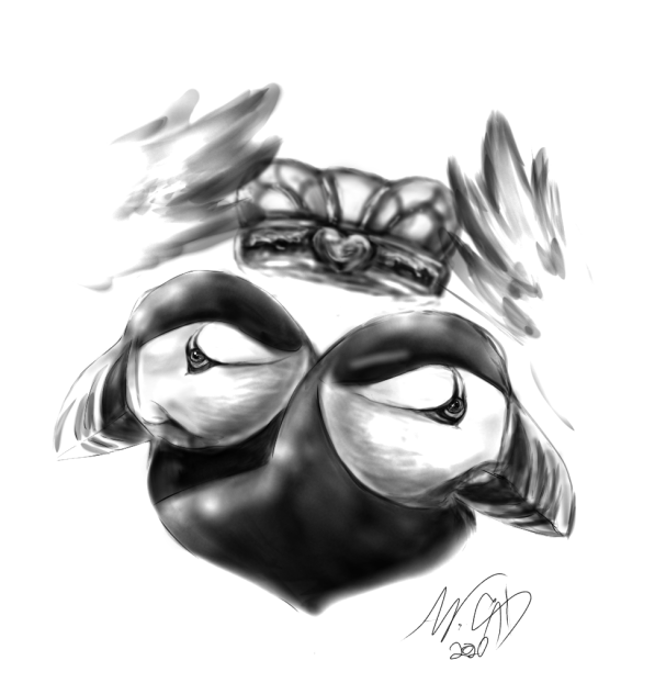 puffin claddah
