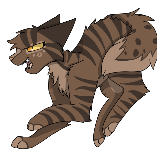 She is from shadowclan