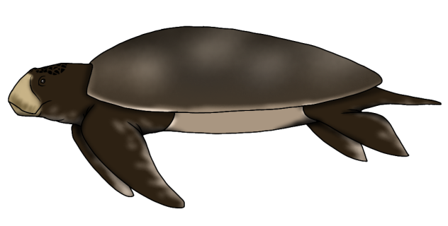 Alienochelys selloumi render