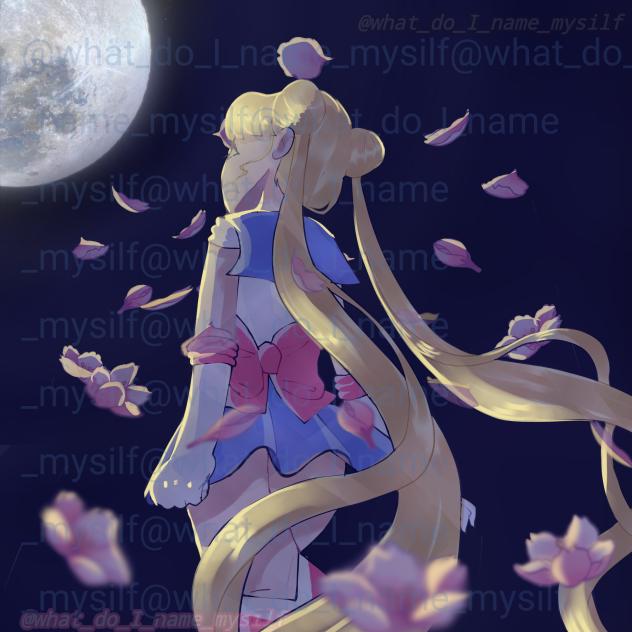 Sailor Moon 🌝