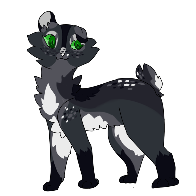 NAME IDEAS PLZ - ibisPaint