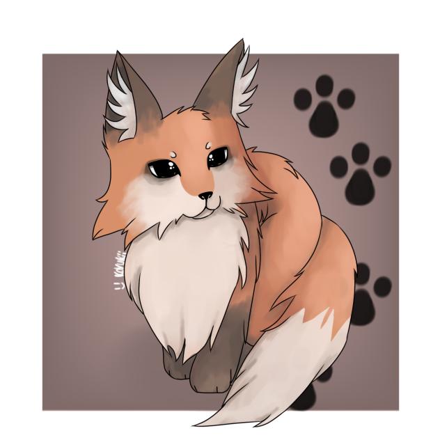 🦊 Fox 🐾