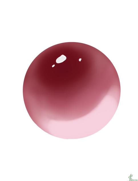 jelly practice - ibisPaint