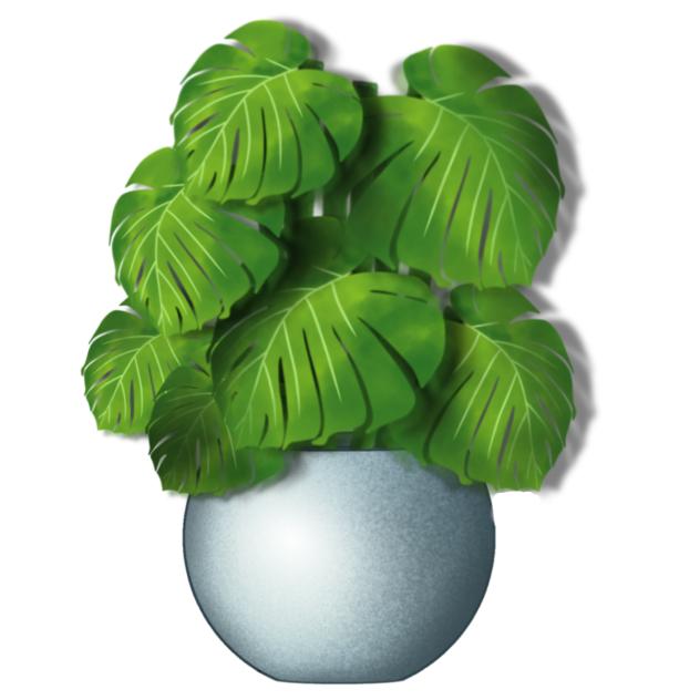 Plant Indoor Material 01