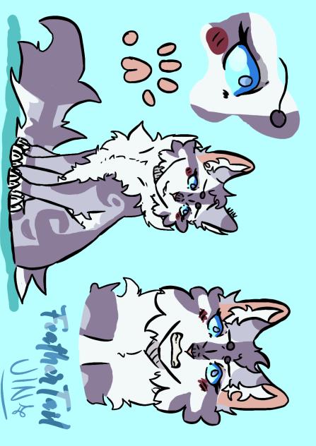 FeatherTail character ref - ibisPaint