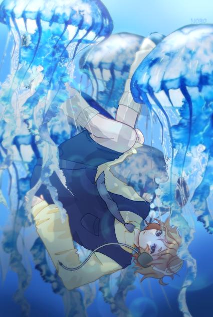 Jellyfish
