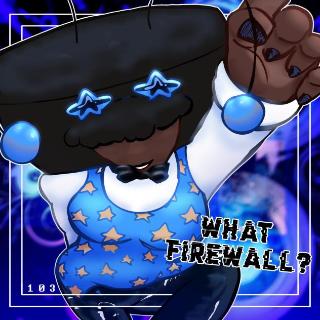 What firewall