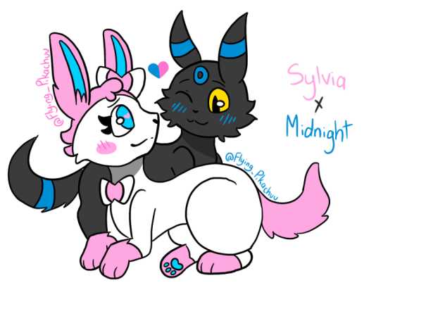 Sylvia x Midnight
