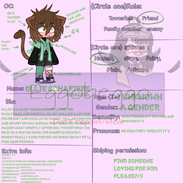 The witches Apprentice