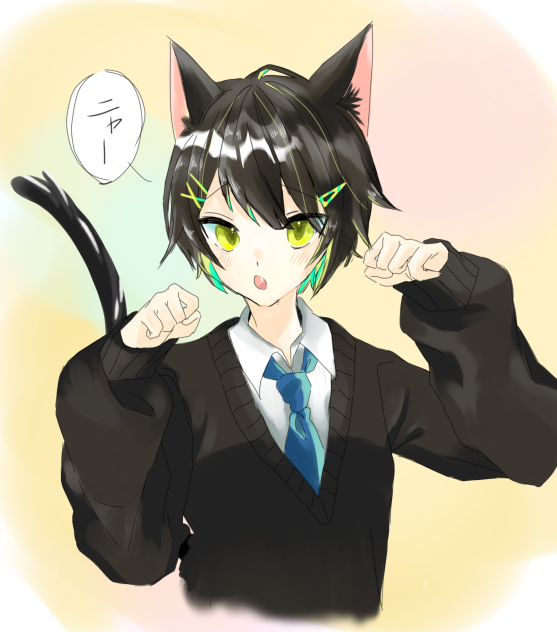 うちの子　梵くん