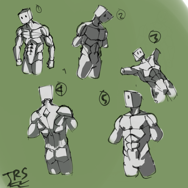 Male torso practice - ibisPaint