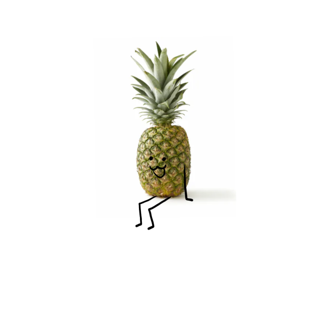 pINEAPPLE CAN SAN