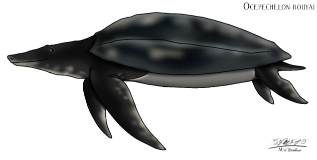 Ocepechelon bouyai