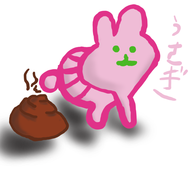 ウサギさん