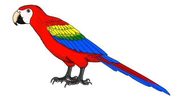Southern Scarlet Macaw2