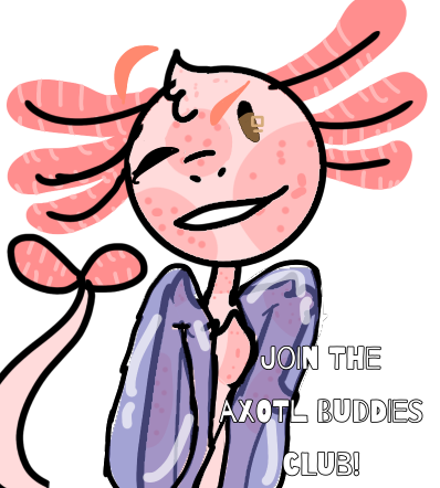 Join the axotl buddies club!