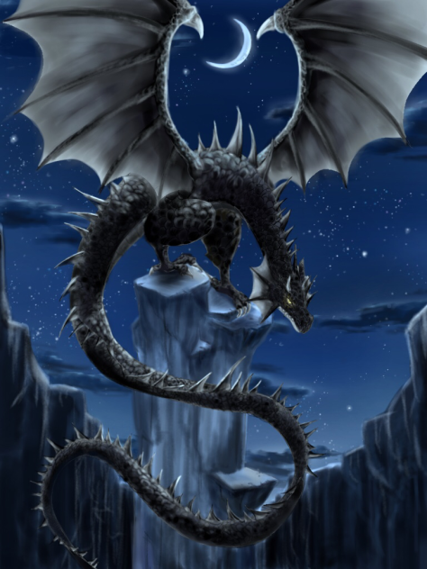 黒竜