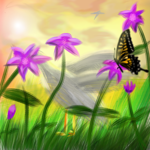 butterfly 🦋