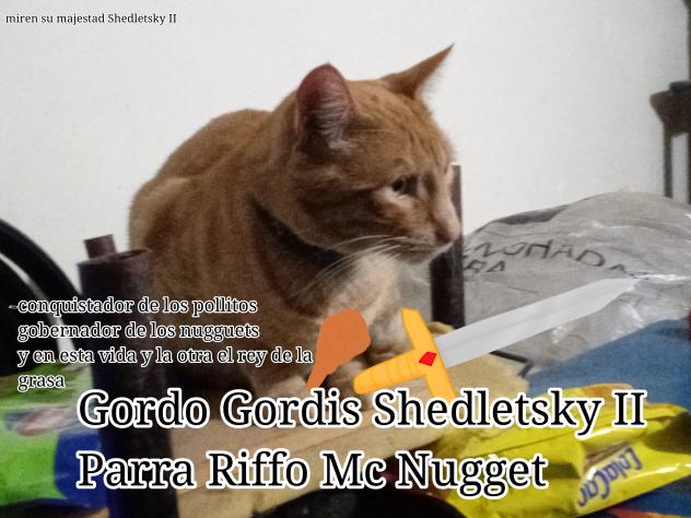 Debut de Shedletsky II