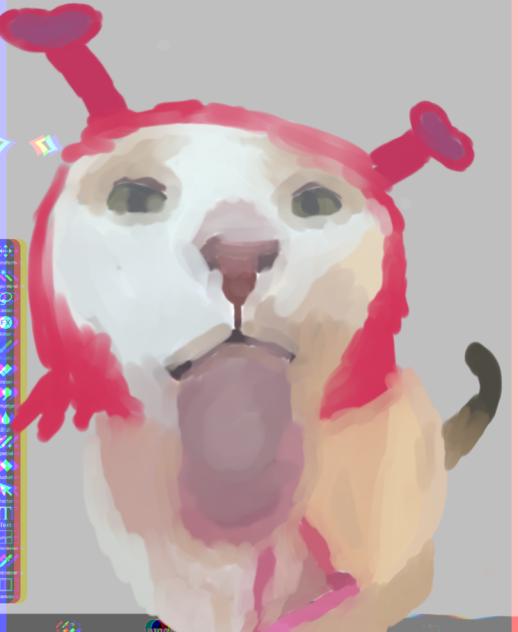 cattt