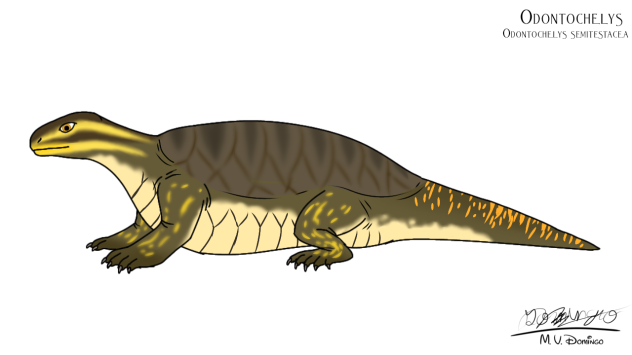 Odontochelys semitestacea