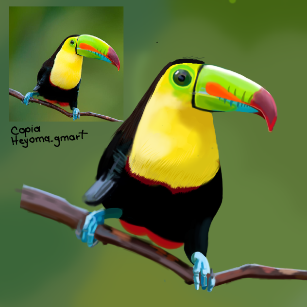 copia (tucan)