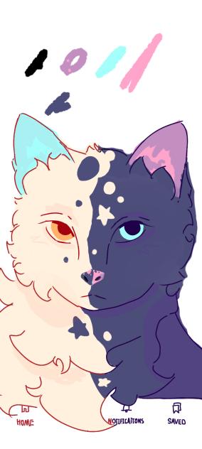 cat I saw on Google once