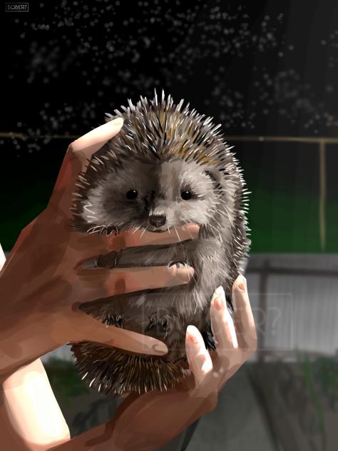 🤲🦔🌌