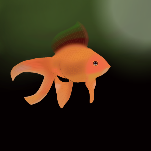 fantail goldfish
