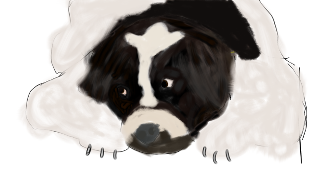 dog 🐩🐾🐶 - ibisPaint