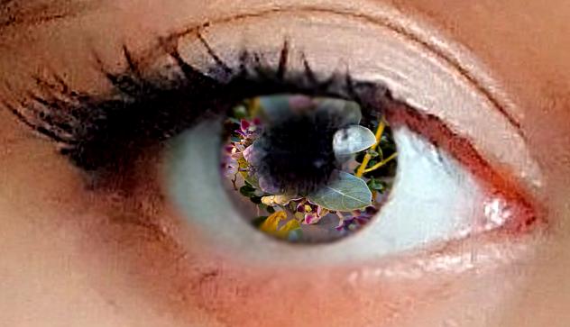 Flower eye - ibisPaint