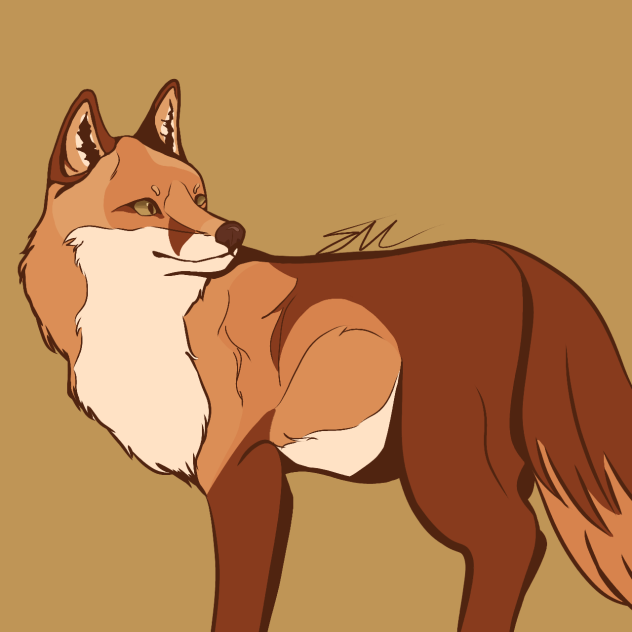 fox