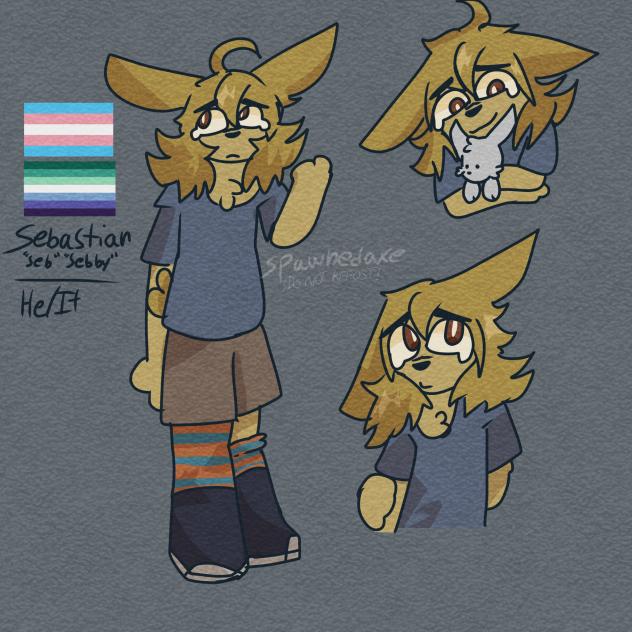 Soma self insert redesign