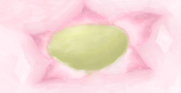🌸🪷 - ibisPaint