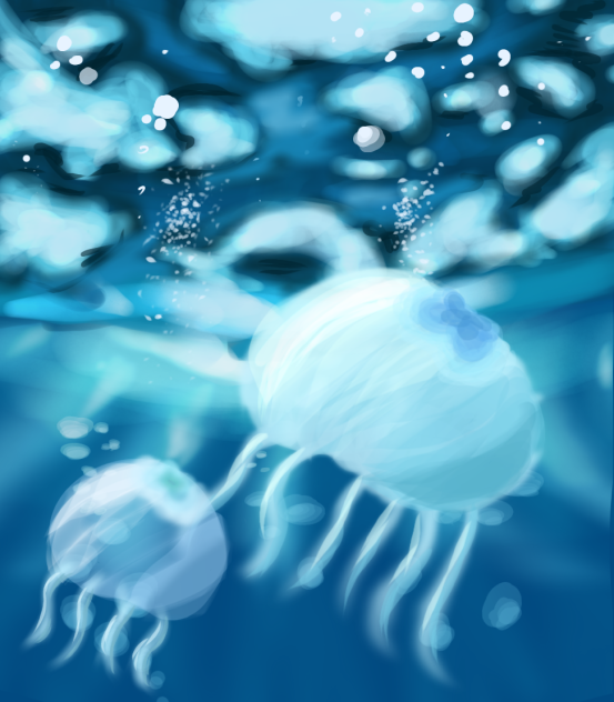 リクエスト第二段！　①