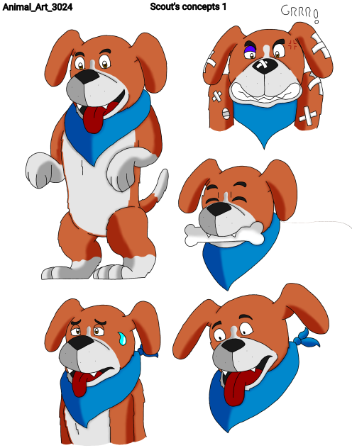 Scout's concepts 1