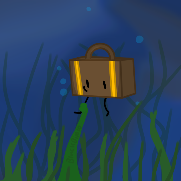 suitcase