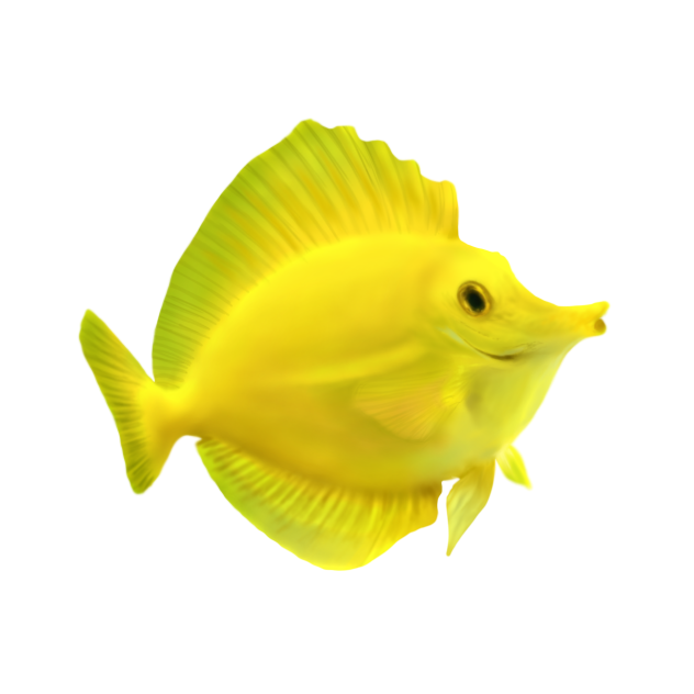 🐟