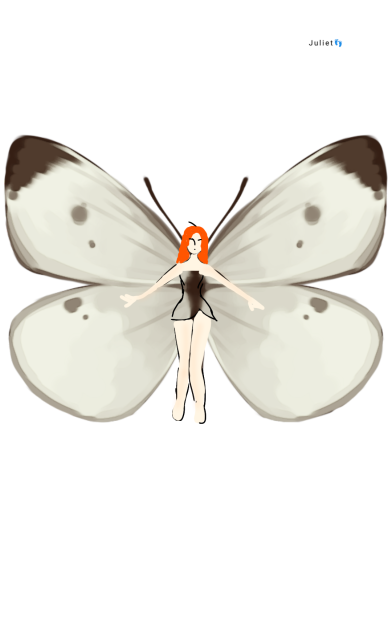 fairy - ibisPaint